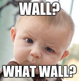 Skeptical Baby Meme | WALL? WHAT WALL? | image tagged in memes,skeptical baby | made w/ Imgflip meme maker