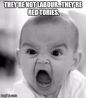 Angry Baby | THEY'RE NOT LABOUR...THEY'RE RED TORIES. | image tagged in memes,angry baby | made w/ Imgflip meme maker