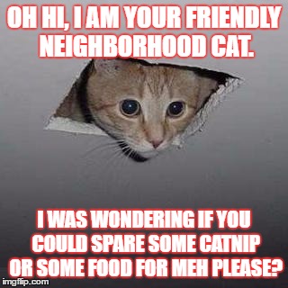 Ceiling Cat | OH HI, I AM YOUR FRIENDLY NEIGHBORHOOD CAT. I WAS WONDERING IF YOU COULD SPARE SOME CATNIP OR SOME FOOD FOR MEH PLEASE? | image tagged in memes,ceiling cat | made w/ Imgflip meme maker
