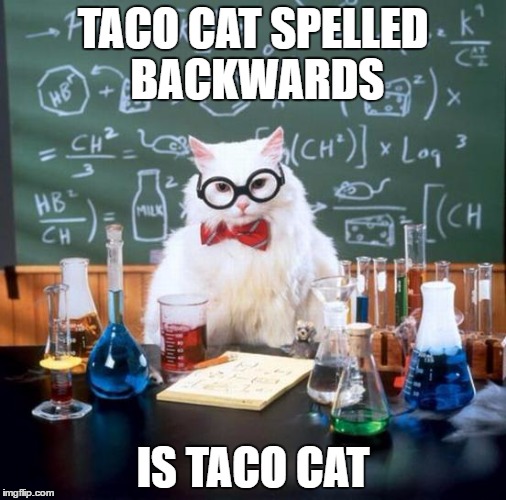 Chemistry Cat Meme | TACO CAT SPELLED BACKWARDS; IS TACO CAT | image tagged in memes,chemistry cat | made w/ Imgflip meme maker
