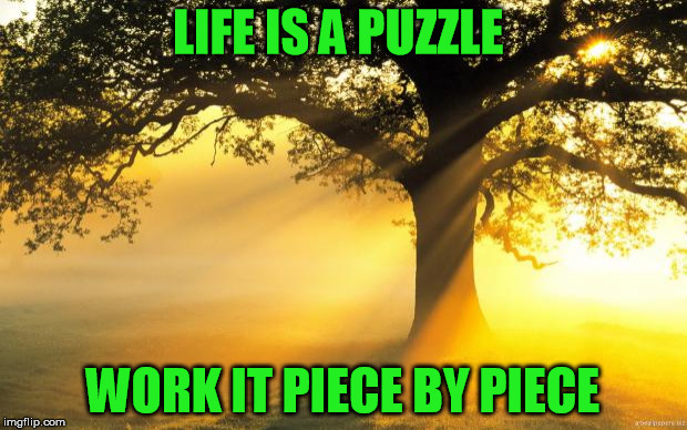 nature | LIFE IS A PUZZLE; WORK IT PIECE BY PIECE | image tagged in nature | made w/ Imgflip meme maker