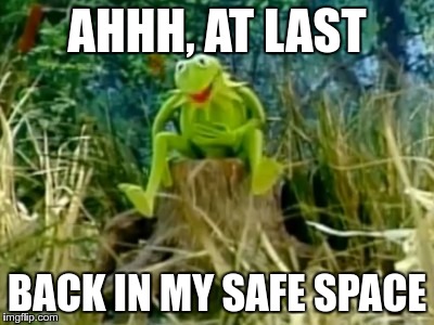 AHHH, AT LAST BACK IN MY SAFE SPACE | made w/ Imgflip meme maker