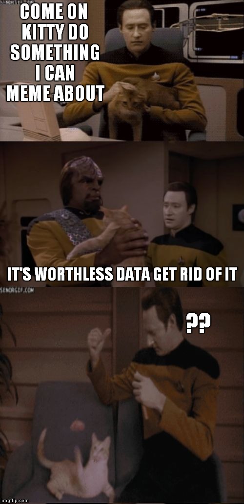 I'm just in a star trek template state of mind... | COME ON KITTY DO SOMETHING I CAN MEME ABOUT; ?? IT'S WORTHLESS DATA GET RID OF IT | image tagged in data's space kitty | made w/ Imgflip meme maker