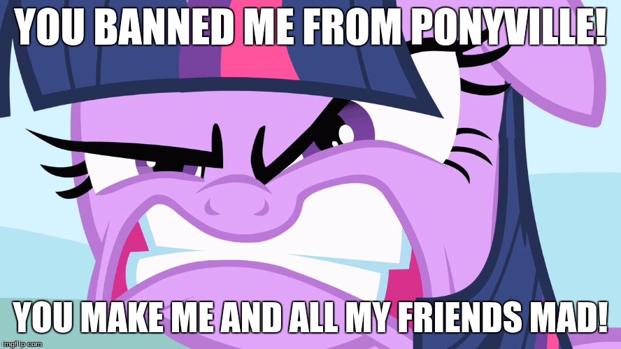 ANGRY Twilight | YOU BANNED ME FROM PONYVILLE! YOU MAKE ME AND ALL MY FRIENDS MAD! | image tagged in angry twilight | made w/ Imgflip meme maker