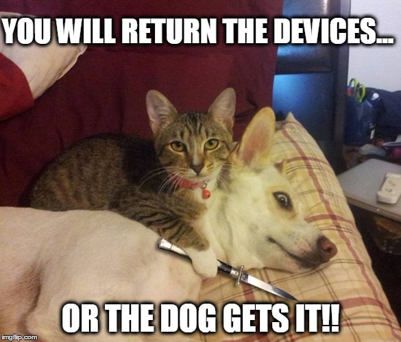 dog hostage | YOU WILL RETURN THE DEVICES... OR THE DOG GETS IT!! | image tagged in dog hostage | made w/ Imgflip meme maker