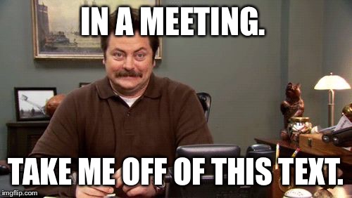 Happy Ron Swanson | IN A MEETING. TAKE ME OFF OF THIS TEXT. | image tagged in happy ron swanson | made w/ Imgflip meme maker