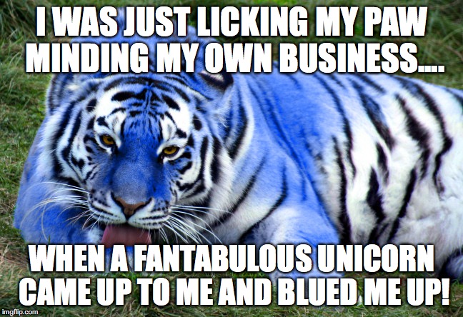 Blue Tiger | I WAS JUST LICKING MY PAW MINDING MY OWN BUSINESS.... WHEN A FANTABULOUS UNICORN CAME UP TO ME AND BLUED ME UP! | image tagged in fantabulousness,blue tiger,unicorn voodoo | made w/ Imgflip meme maker