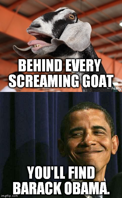 Dat ass. | BEHIND EVERY SCREAMING GOAT; YOU'LL FIND BARACK OBAMA. | image tagged in barack obama,screaming goat,meme,funny | made w/ Imgflip meme maker