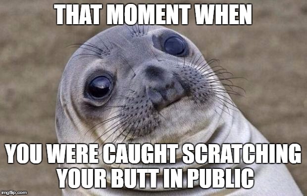 Awkward Moment Sealion | THAT MOMENT WHEN; YOU WERE CAUGHT SCRATCHING YOUR BUTT IN PUBLIC | image tagged in memes,awkward moment sealion | made w/ Imgflip meme maker