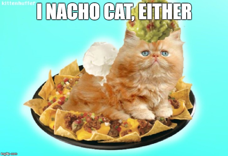 I NACHO CAT, EITHER | made w/ Imgflip meme maker