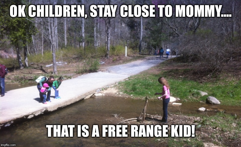 Free Range Kid | OK CHILDREN, STAY CLOSE TO MOMMY.... THAT IS A FREE RANGE KID! | image tagged in play | made w/ Imgflip meme maker