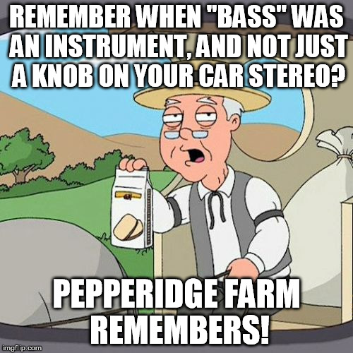 Pepperidge Farm Remembers | REMEMBER WHEN "BASS" WAS AN INSTRUMENT, AND NOT JUST A KNOB ON YOUR CAR STEREO? PEPPERIDGE FARM REMEMBERS! | image tagged in memes,pepperidge farm remembers | made w/ Imgflip meme maker