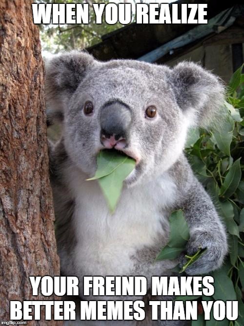 Surprised Koala | WHEN YOU REALIZE; YOUR FREIND MAKES BETTER MEMES THAN YOU | image tagged in memes,surprised koala | made w/ Imgflip meme maker