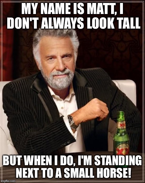 The Most Interesting Man In The World | MY NAME IS MATT, I DON'T ALWAYS LOOK TALL; BUT WHEN I DO, I'M STANDING NEXT TO A SMALL HORSE! | image tagged in memes,the most interesting man in the world | made w/ Imgflip meme maker