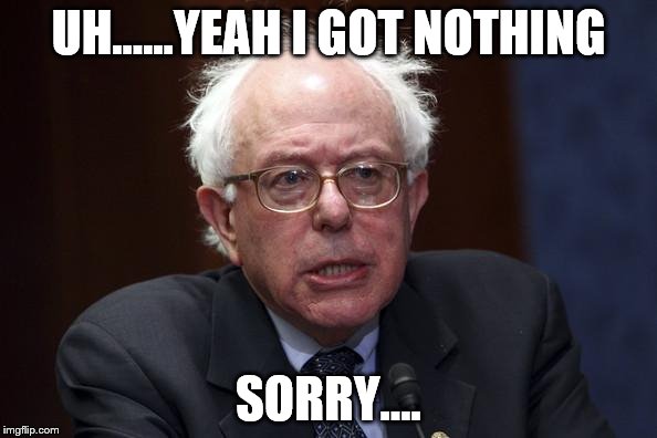 Bernie Sanders | UH......YEAH I GOT NOTHING; SORRY.... | image tagged in bernie sanders | made w/ Imgflip meme maker