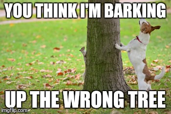 YOU THINK I'M BARKING UP THE WRONG TREE | made w/ Imgflip meme maker