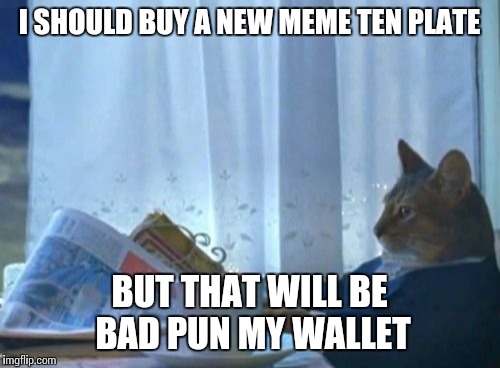 I Should Buy A Boat Cat | I SHOULD BUY A NEW MEME TEN PLATE; BUT THAT WILL BE BAD PUN MY WALLET | image tagged in memes,i should buy a boat cat | made w/ Imgflip meme maker