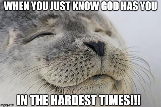 Satisfied Seal | WHEN YOU JUST KNOW GOD HAS YOU; IN THE HARDEST TIMES!!! | image tagged in memes,satisfied seal | made w/ Imgflip meme maker