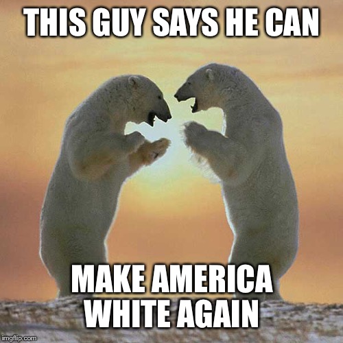 polar bear humor  | THIS GUY SAYS HE CAN MAKE AMERICA WHITE AGAIN | image tagged in polar bear humor | made w/ Imgflip meme maker