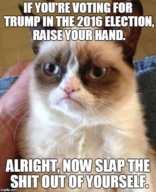 Stop the Trump Train | IF YOU'RE VOTING FOR TRUMP IN THE 2016 ELECTION, RAISE YOUR HAND. ALRIGHT, NOW SLAP THE SHIT OUT OF YOURSELF. | image tagged in memes,grumpy cat,donald trump,election 2016,funny memes,presidential race | made w/ Imgflip meme maker