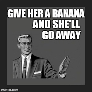 Kill Yourself Guy Meme | GIVE HER A BANANA AND SHE'LL GO AWAY | image tagged in memes,kill yourself guy | made w/ Imgflip meme maker