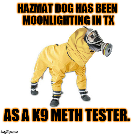 Hazmat dog doing his part to take a bite out of meth. It's easier for him as he still has teeth. | HAZMAT DOG HAS BEEN MOONLIGHTING IN TX; AS A K9 METH TESTER. | image tagged in hazmatdog,ebola,meth,memes | made w/ Imgflip meme maker