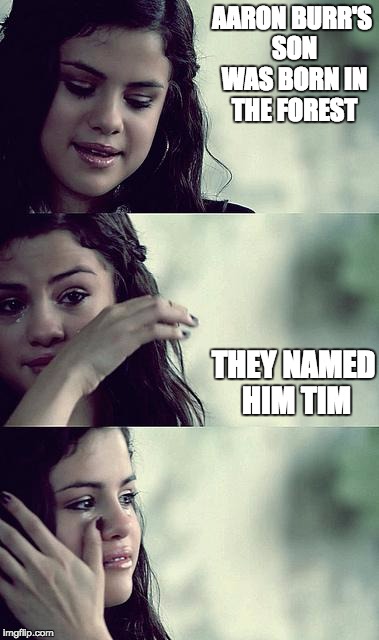 bad pun selena | AARON BURR'S SON WAS BORN IN THE FOREST; THEY NAMED HIM TIM | image tagged in selena gomez crying,funny,memes,bad pun | made w/ Imgflip meme maker