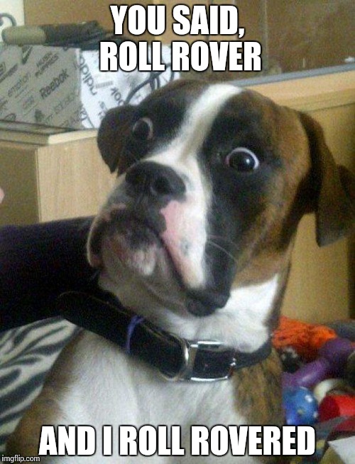 Can I have my treat now? | YOU SAID, ROLL ROVER; AND I ROLL ROVERED | image tagged in blankie the shocked dog,memes,funny dogs | made w/ Imgflip meme maker
