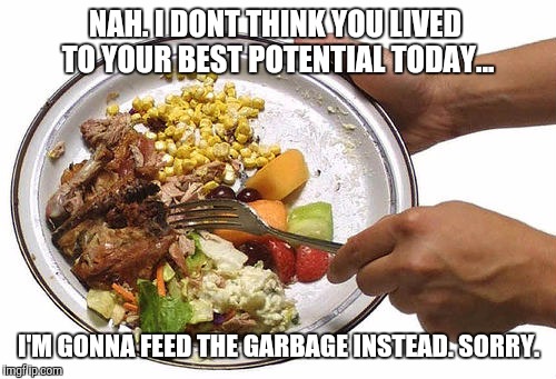 NAH. I DONT THINK YOU LIVED TO YOUR BEST POTENTIAL TODAY... I'M GONNA FEED THE GARBAGE INSTEAD. SORRY. | made w/ Imgflip meme maker