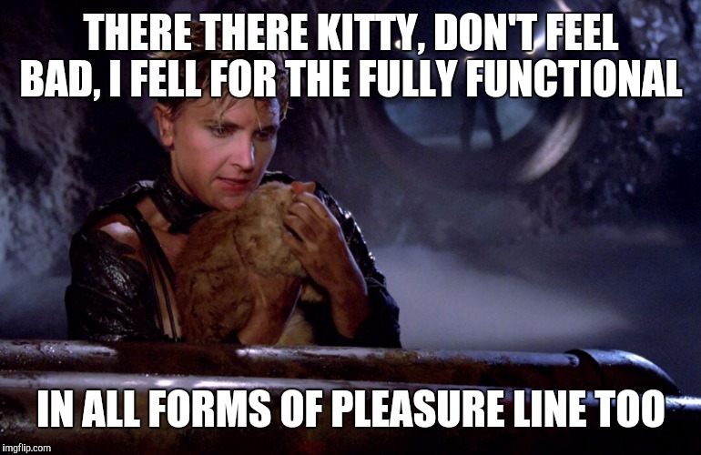 THERE THERE KITTY, DON'T FEEL BAD, I FELL FOR THE FULLY FUNCTIONAL IN ALL FORMS OF PLEASURE LINE TOO | made w/ Imgflip meme maker