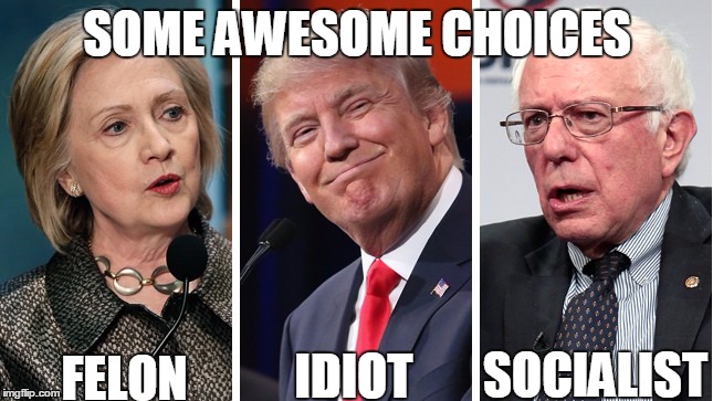 Choices | SOME AWESOME CHOICES; FELON; SOCIALIST; IDIOT | image tagged in choices | made w/ Imgflip meme maker