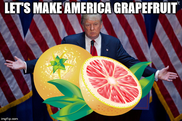 LET'S MAKE AMERICA GRAPEFRUIT | made w/ Imgflip meme maker