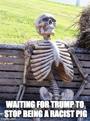 Waiting Skeleton Meme | WAITING FOR TRUMP TO STOP BEING A RACIST PIG | image tagged in memes,waiting skeleton | made w/ Imgflip meme maker