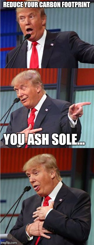 Take that leftie...  | REDUCE YOUR CARBON FOOTPRINT; YOU ASH SOLE... | image tagged in bad pun trump,environment,carbon | made w/ Imgflip meme maker