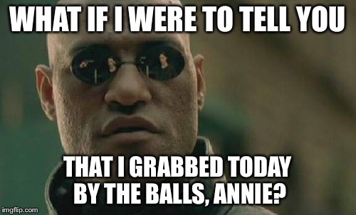 Matrix Morpheus Meme | WHAT IF I WERE TO TELL YOU; THAT I GRABBED TODAY BY THE BALLS, ANNIE? | image tagged in memes,matrix morpheus | made w/ Imgflip meme maker