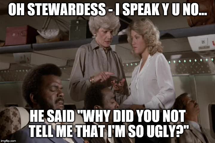 OH STEWARDESS - I SPEAK Y U NO... HE SAID "WHY DID YOU NOT TELL ME THAT I'M SO UGLY?" | made w/ Imgflip meme maker