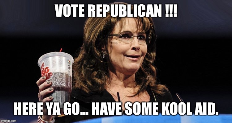 Palin | VOTE REPUBLICAN !!! HERE YA GO... HAVE SOME KOOL AID. | image tagged in palin | made w/ Imgflip meme maker