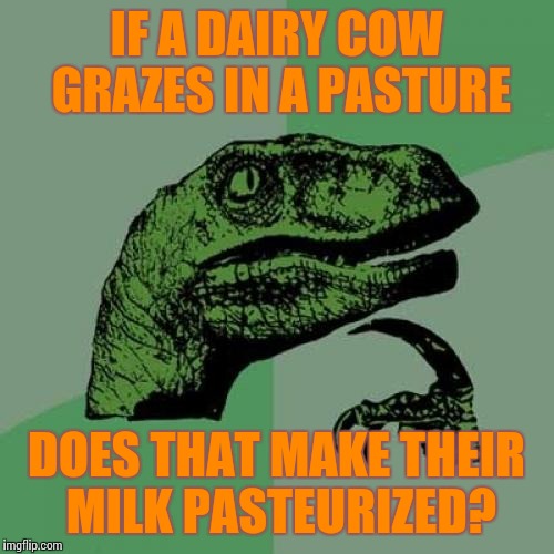 Philosoraptor | IF A DAIRY COW GRAZES IN A PASTURE; DOES THAT MAKE THEIR MILK PASTEURIZED? | image tagged in memes,philosoraptor,cows,milk | made w/ Imgflip meme maker