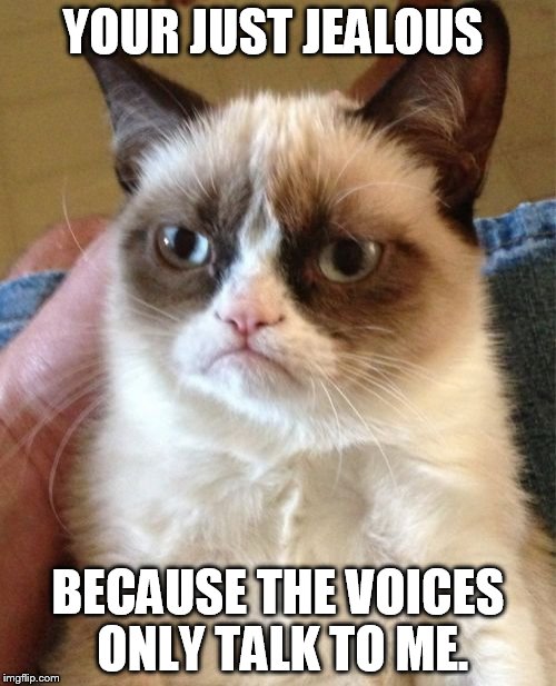Grumpy Cat Meme | YOUR JUST JEALOUS; BECAUSE THE VOICES ONLY TALK TO ME. | image tagged in memes,grumpy cat | made w/ Imgflip meme maker