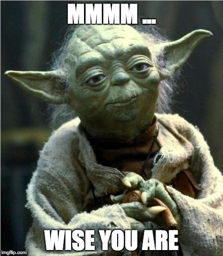 Jedi Master Yoda | MMMM ... WISE YOU ARE | image tagged in jedi master yoda | made w/ Imgflip meme maker
