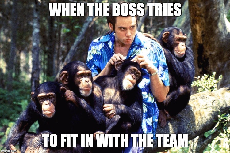 Ace Ventura | WHEN THE BOSS TRIES; TO FIT IN WITH THE TEAM | image tagged in ace ventura | made w/ Imgflip meme maker