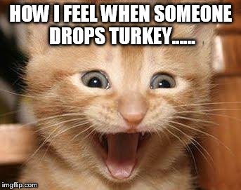 thanksturkey cat | HOW I FEEL WHEN SOMEONE DROPS TURKEY...... | image tagged in memes,excited cat | made w/ Imgflip meme maker