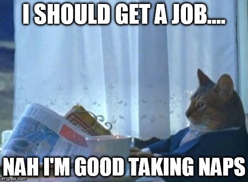 Cat who wants a job | I SHOULD GET A JOB.... NAH I'M GOOD TAKING NAPS | image tagged in memes,i should buy a boat cat | made w/ Imgflip meme maker