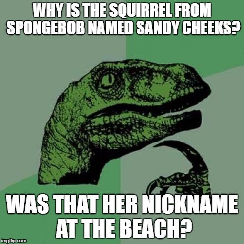 Philosoraptor | WHY IS THE SQUIRREL FROM SPONGEBOB NAMED SANDY CHEEKS? WAS THAT HER NICKNAME AT THE BEACH? | image tagged in memes,philosoraptor | made w/ Imgflip meme maker