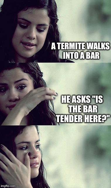 Bad Pun Selena | A TERMITE WALKS INTO A BAR; HE ASKS "IS THE BAR TENDER HERE?" | image tagged in selena gomez crying,memes | made w/ Imgflip meme maker