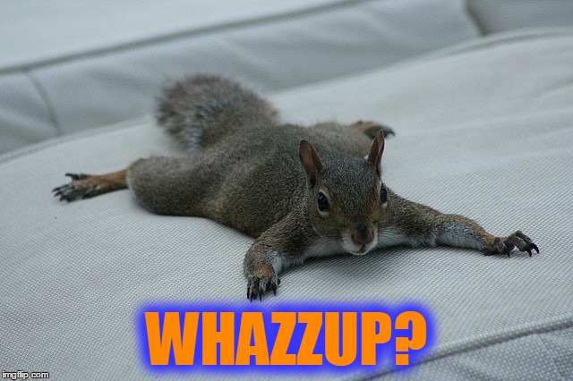 WHAZZUP? | made w/ Imgflip meme maker
