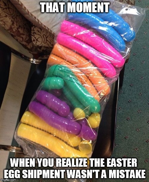 What did I order? | THAT MOMENT; WHEN YOU REALIZE THE EASTER EGG SHIPMENT WASN'T A MISTAKE | image tagged in easter,eggs,vibrator,dildo,funny | made w/ Imgflip meme maker