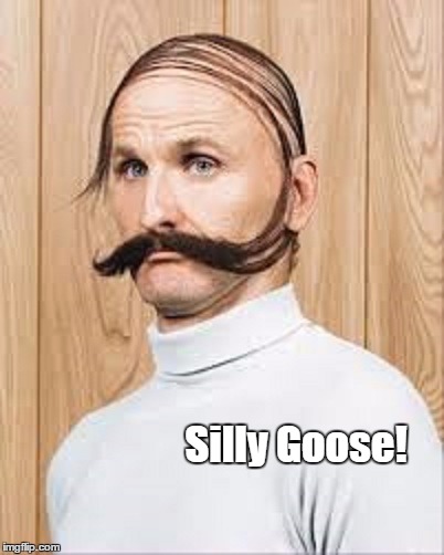 Silly Goose! | image tagged in comb over | made w/ Imgflip meme maker