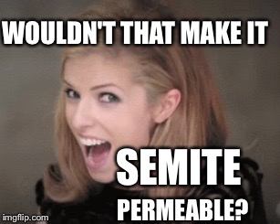 WOULDN'T THAT MAKE IT PERMEABLE? SEMITE | image tagged in anna | made w/ Imgflip meme maker