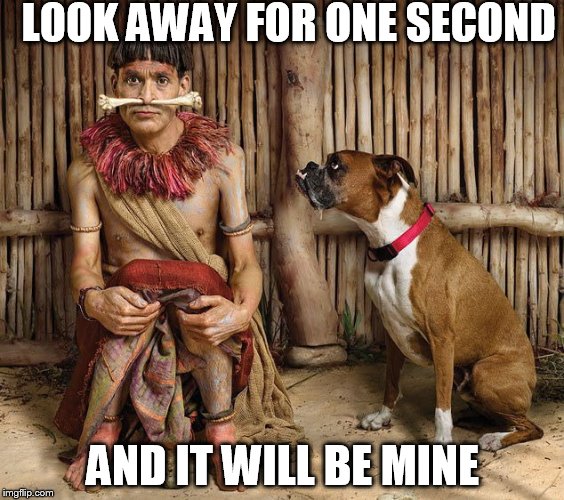 Be cautious of what you wear around your pets...Just saying!  | LOOK AWAY FOR ONE SECOND; AND IT WILL BE MINE | image tagged in dogs,bone,mistake,dog,pain | made w/ Imgflip meme maker